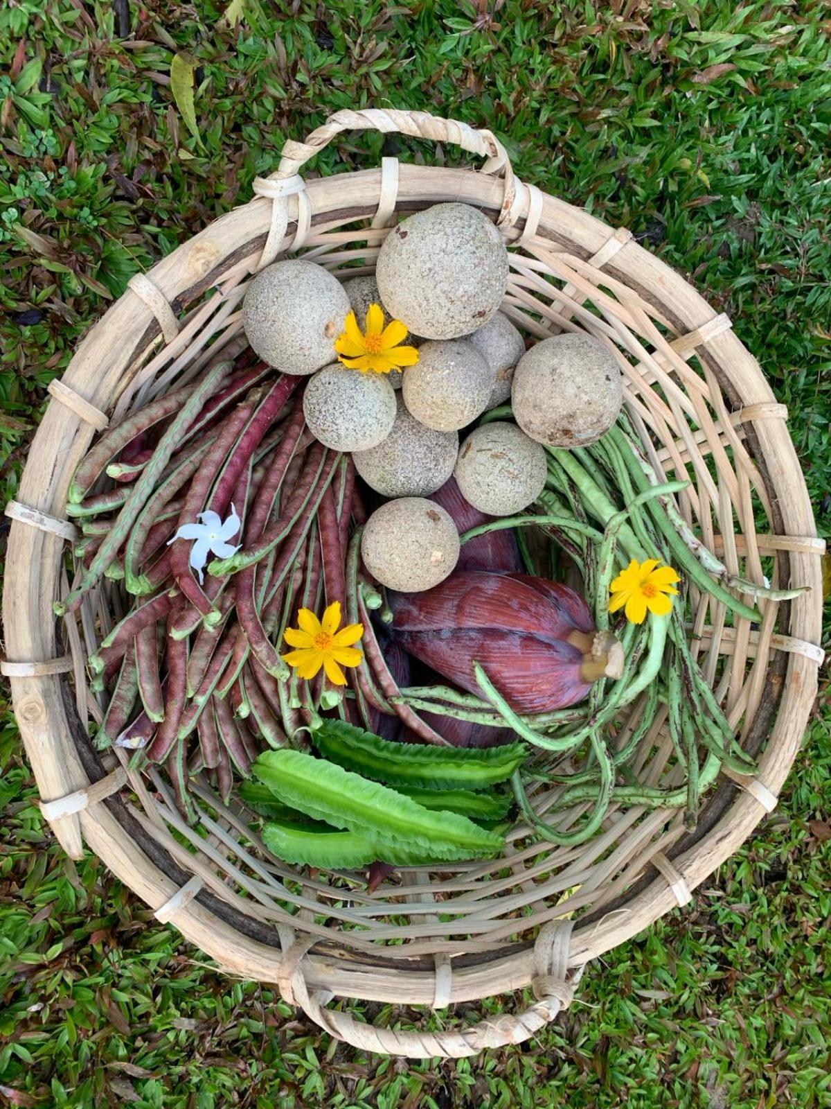 Sahana Retreat Buttala 외부 사진