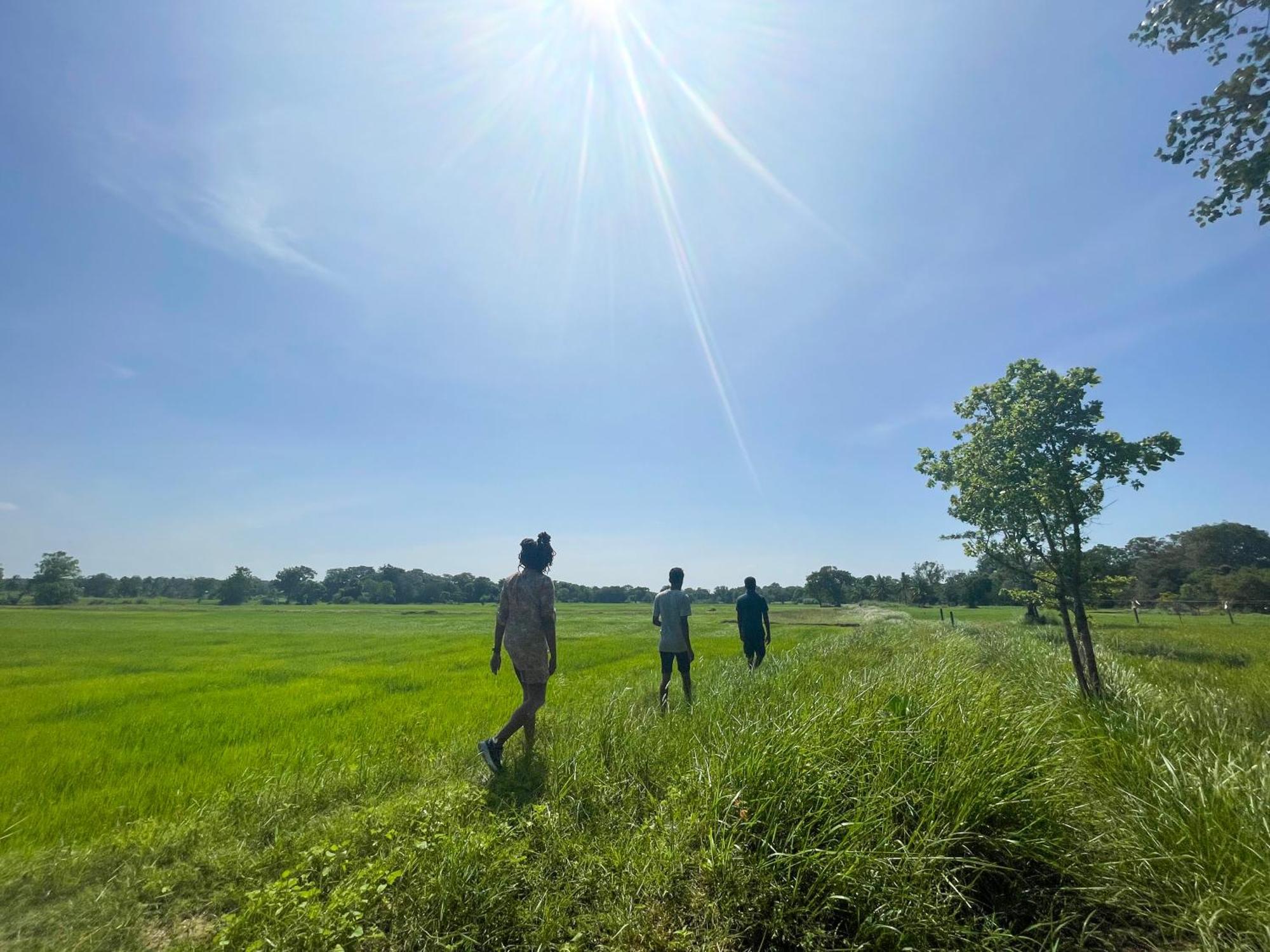 Sahana Retreat Buttala 외부 사진