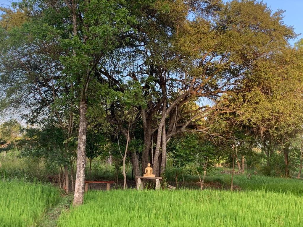 Sahana Retreat Buttala 외부 사진