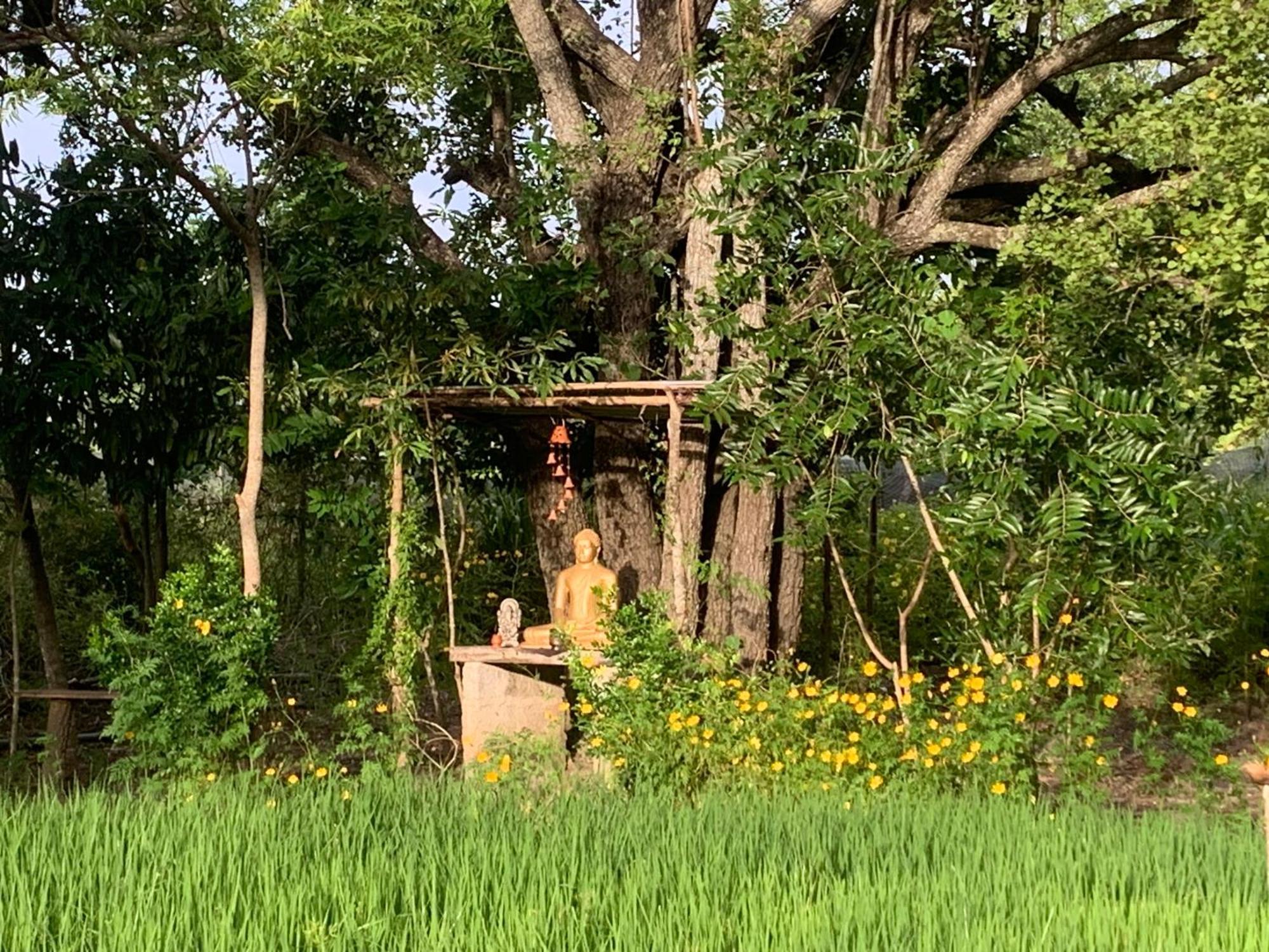 Sahana Retreat Buttala 외부 사진